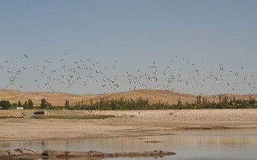 سد دوش؛ از جاهای دیدنی بناب