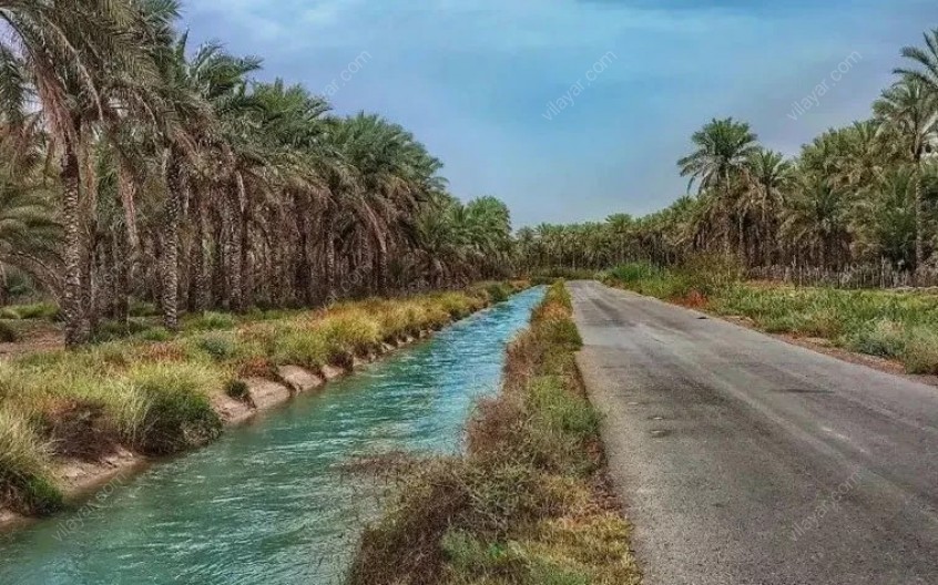اقامت ساحلی در جنوب و کشف جاذبه‌های بکر خلیج فارس