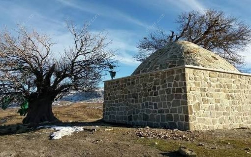 بقعه حسن گاویار سرود عشق و ارادت در دل لرستان