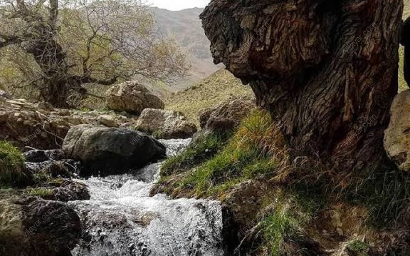 سراب کرتیلان لرستان، جاذبه‌ای طبیعی با زیبایی‌های بی‌نظیر