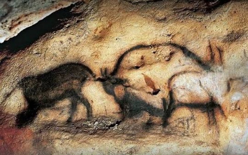 غار دوشه لرستان سفر به اعماق تاریخ و رازهای پنهان طبیعت