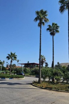 راهنمای انتخاب خیابان در شهرک دریاکنار برای اجاره ویلا