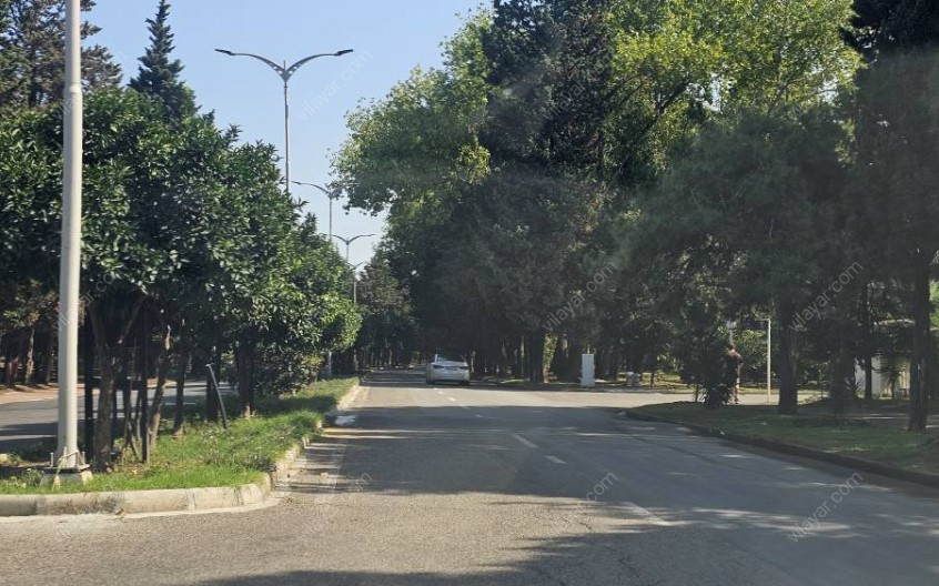 راهنمای کامل شهرک دریاکنار؛ معرفی خیابان‌ها، ساحل، رستوران‌ها و امکانات