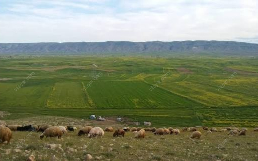 تپه برآفتاب لرستان: جایی که تاریخ و طبیعت در هم تنیده شده - تصویر 4