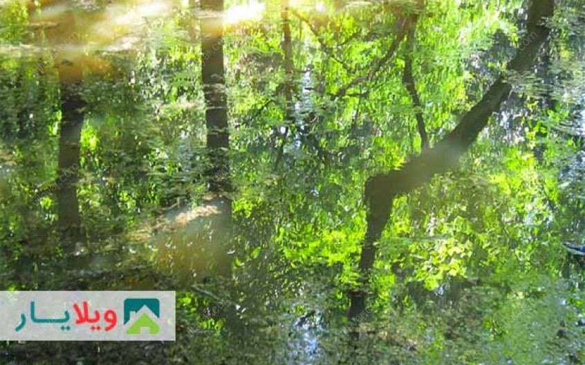 پارک جنگلی هلومسر به همراه تصاویر و راهنمای گردشگری