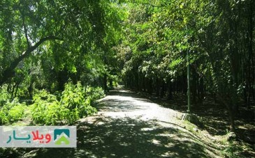 پارک جنگلی هلومسر به همراه تصاویر و راهنمای گردشگری
