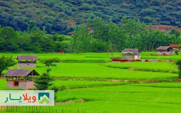 جدیدترین تصاویر از هزار جریب نکا + راهنمای سفر به هزار جریب