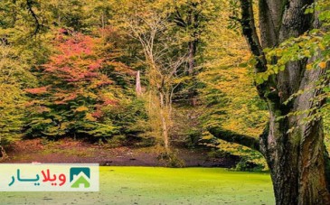 راهنمای رسیدن به مرداب رنگارنگ هسل در چالوس مازندران