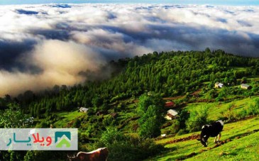 منطقه ییلاقی مازیچال، فرش ابر در کنار پاشنه کفش شما با رویایی ترین مناظر