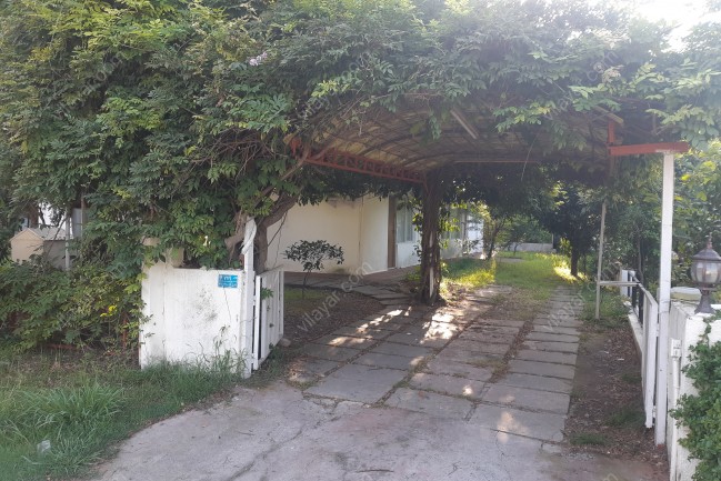 اجاره دریاکنار ویلا