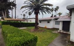 چهار خواببا حسین ابداهیمی