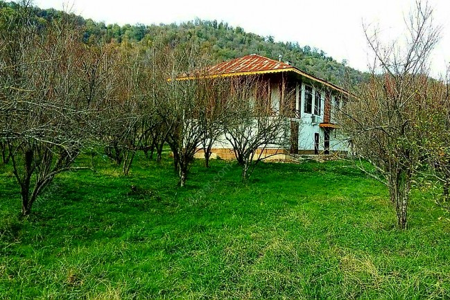 اجاره ویلای سنتی چوبی در تالش