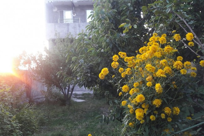 اجاره ویلا کوهستانی در مشگین شهر اردبیل