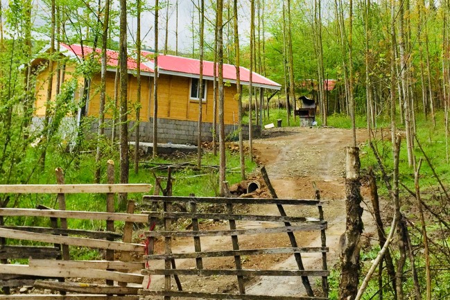 اجاره کلبه چوبی جنگلی در ماسال