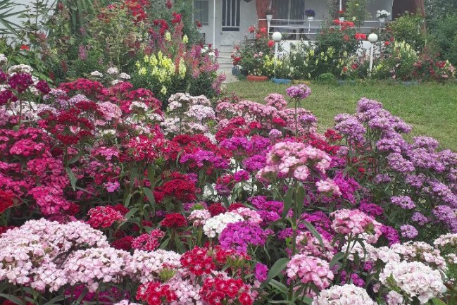 ویلا اجاره ای در ماسال