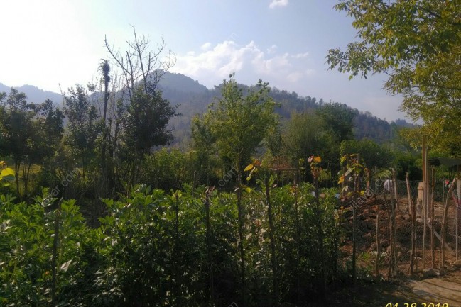 اجاره ویلای عباسی در فومن گیلان