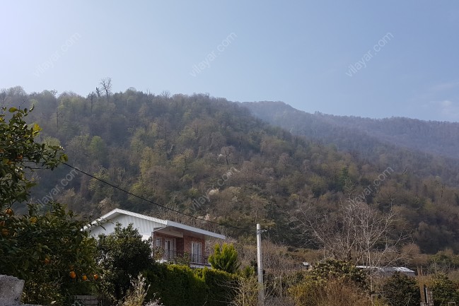 ویلای نوساز دو خوابه جنگلی