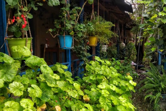 رزرو اقامتگاه بومگردی دیلمای در رشت