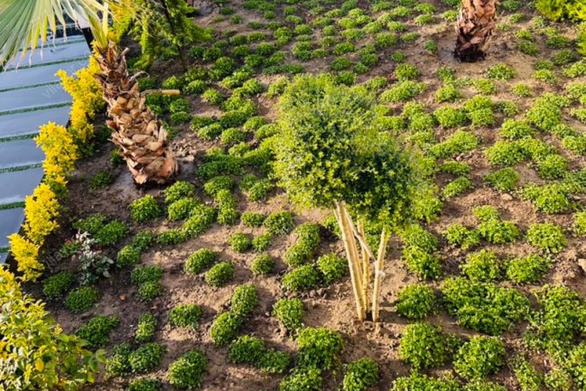 اجاره کلبه سویسی با استخر در سرخرود