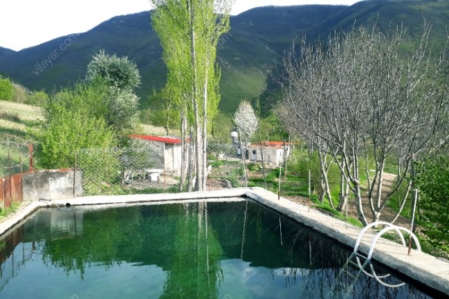 اقامتگاه بومگردی جنگلی نوری