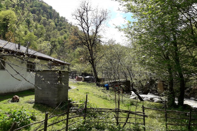 ویلا لب رودخانه داخل جنگل  یک مکان رویای