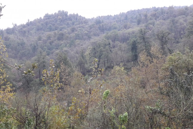 اجاره کلبه هفت آبشار