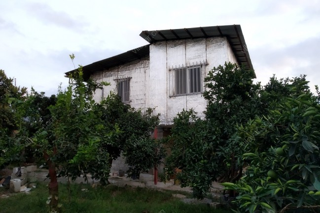 اجاره خانه باغ امیری در قائم شهر