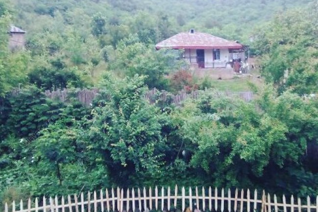 اجاره ویلا جنگلی در ماسال استان گیلان