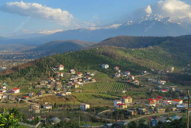 اجاره ویلا جنگلی در تنکابن