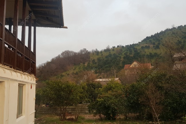 ویلای جنگلی نزدیک دریا