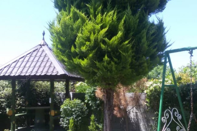 اجاره استخر با فوتبالدستی، آلاچیق، باربیکیو