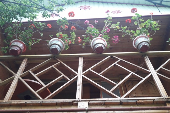 اجاره کلبه چوبی در ماسال